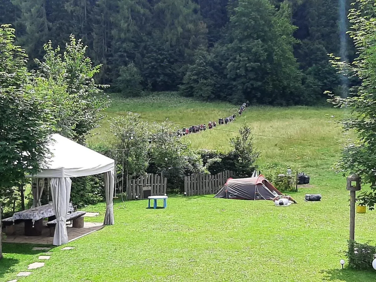 Noclegi Przy Lesie Zakopane